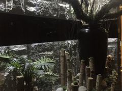 -纽斯桑拿会所(天山店)