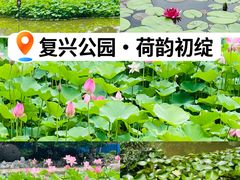 -复兴公园