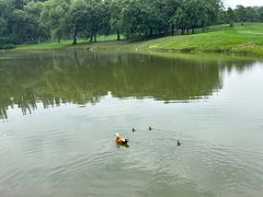 -北京京辉高尔夫俱乐部有限公司