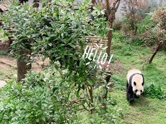 -黔灵山公园