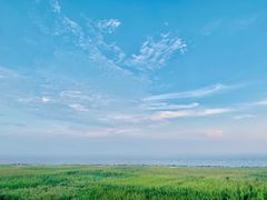 -南汇嘴观海公园