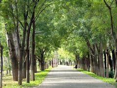 -东郊湿地公园