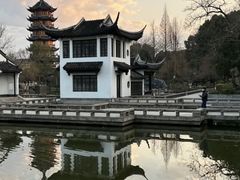 -红梅公园
