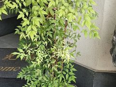 -溪畔•新徽菜(碧湖云溪店)