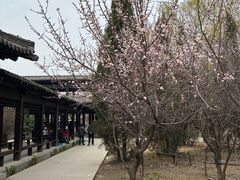 -万泉公园