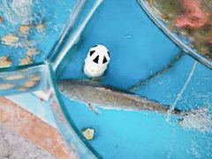 -晓伟海鲜家常菜