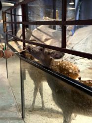 -酷嗒动物文化乐园(cutezoo西溪乐天城店)