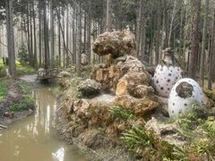 -东平国家森林公园