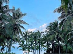 -三亚太阳湾柏悦酒店