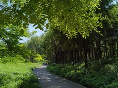 -翠湖国家城市湿地公园