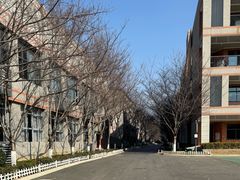 -金陵中学(河西分校)