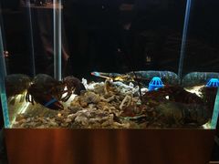 -璞御·海鲜·雪花牛肉局(宾水西道店)