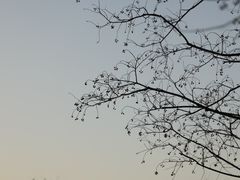 -嘉北郊野公园