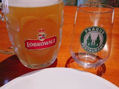 -布拉格餐厅· 中欧捷克菜(全国首店)