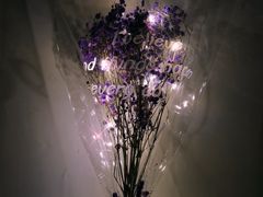 -八十八粉儿(尚都店)