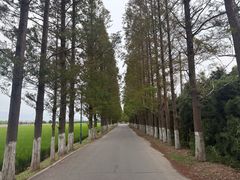 -嘉北郊野公园