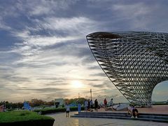 -南汇嘴观海公园