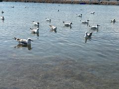 -青海湖二郎剑景区