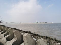 -上海滨江森林公园