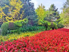 -长白岛森林公园