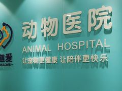 -美迦爱动物医院·夜诊(朝阳路诊疗中心)