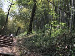 -西湖风景区十里琅珰-五云山