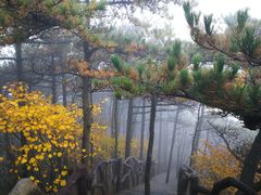 -罗田天堂寨风景区