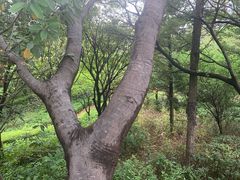 -晋江五店市传统文化旅游区
