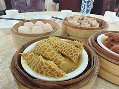 -宝塘茶楼