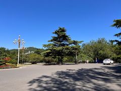 -棒棰岛宾馆景区