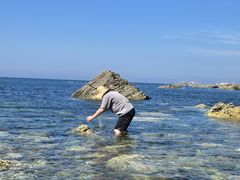 -养马岛旅游度假区