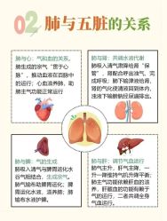 -雅曼妮spa美容养生