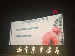 -枫花园汽车电影院(朝阳公园店)