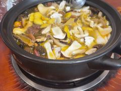-菌之家·专业纯野生菌火锅·特色炒菌