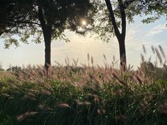 -汉长安城未央宫国家考古遗址公园