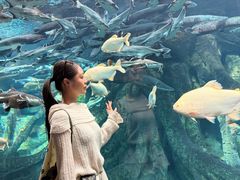 -波塞冬旅游度假区