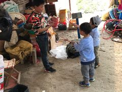-喜杨洋草莓采摘园