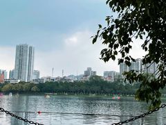 -南宁南湖公园
