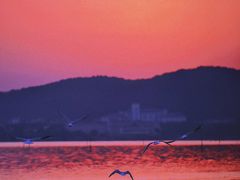-蠡湖大桥公园