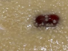 无糖红枣小米粥-宏状元现熬粥·京味菜(三里河店)