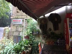 -国生茶庄·地道农家菜团建活动