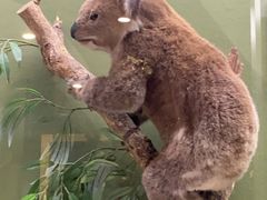 -国家自然博物馆