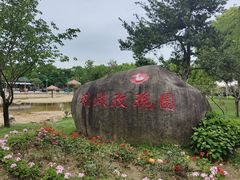 -鹅湖玫瑰文化园