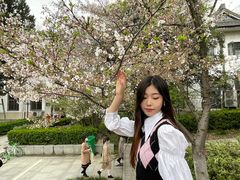 -武汉大学-樱园