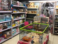 -钓仓鼠(洋桥北里小区店)