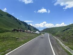 -新疆那拉提国家旅游度假区