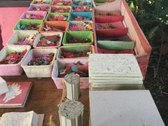 -大象粑粑造纸公园
