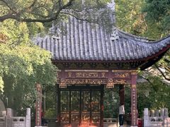 -汇龙潭