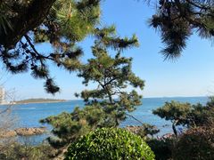 -青岛海底世界-水族馆