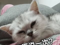 -艾吉宠物医院·疑难杂症转诊中心·猫友好(碧江路院)